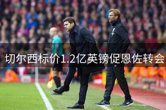 切尔西标价1.2亿英镑促恩佐转会，期待新赛季前敲定