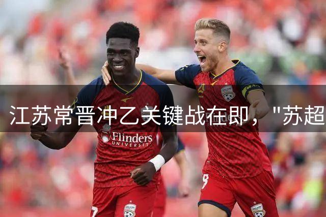 江苏常晋冲乙关键战在即，"苏超"射手群再添新援